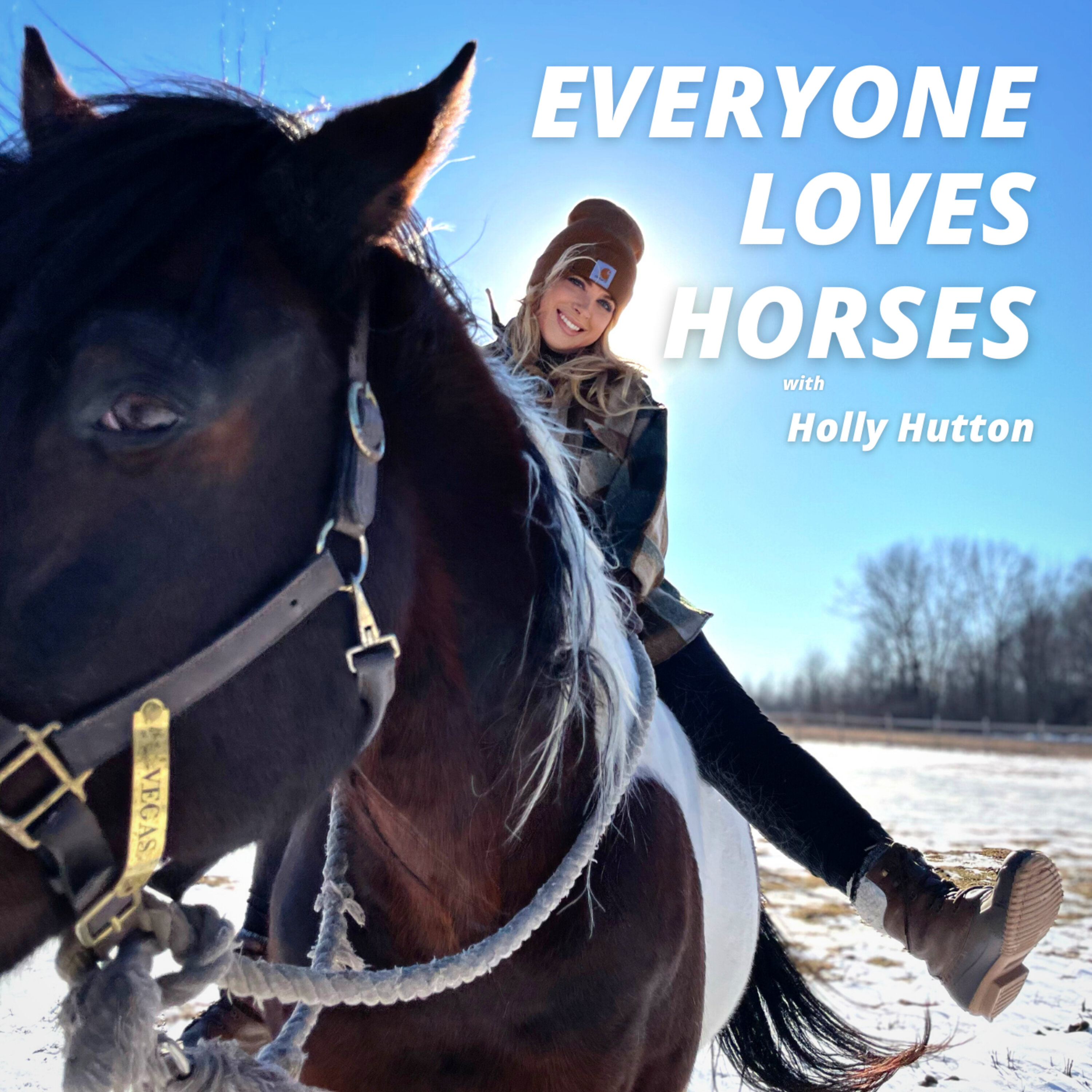 Everyone Loves Horses