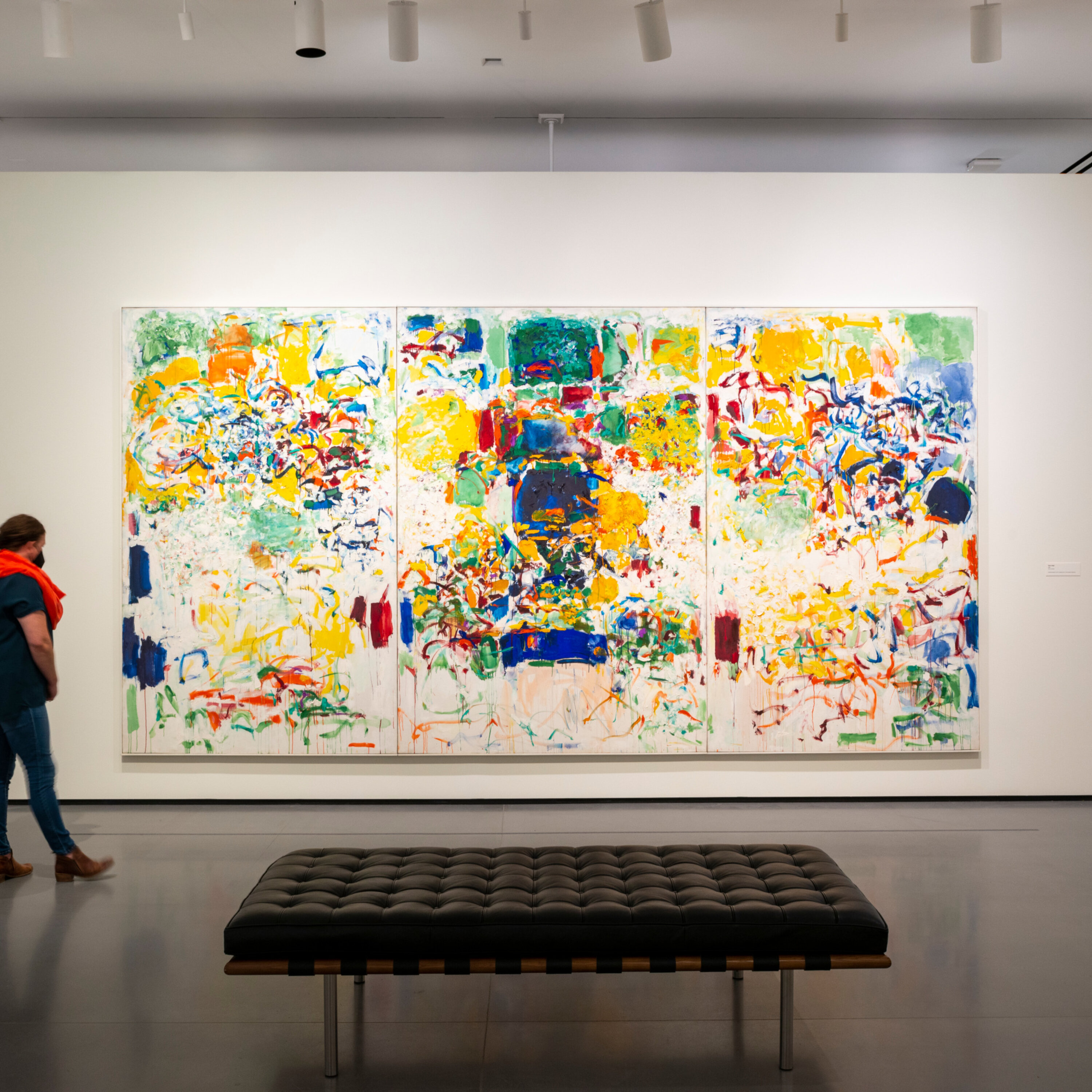 Baltimore Museum of Art (BMA) mp3 episode artwork