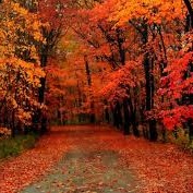 WBBM Noon Business Hour - Sober October