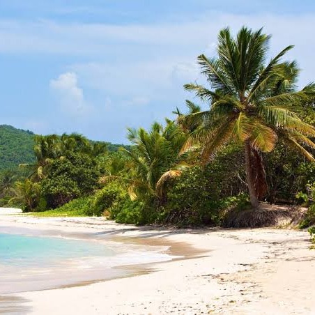 WBBM Noon Business Hour - Island Destinations: No Passport Required episode artwork