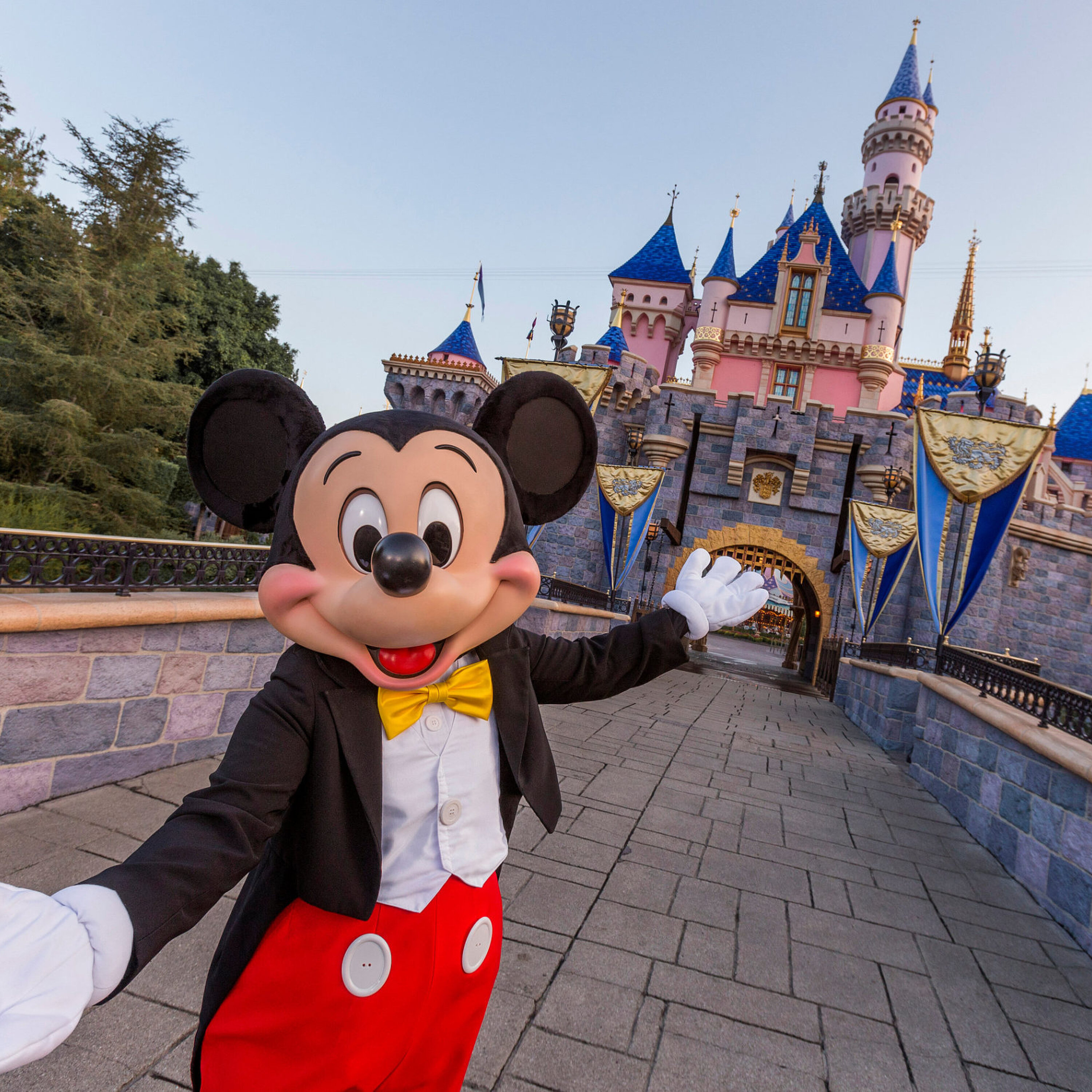 Noon Business Hour: Travel - Disney DirecTV & Foxtrot