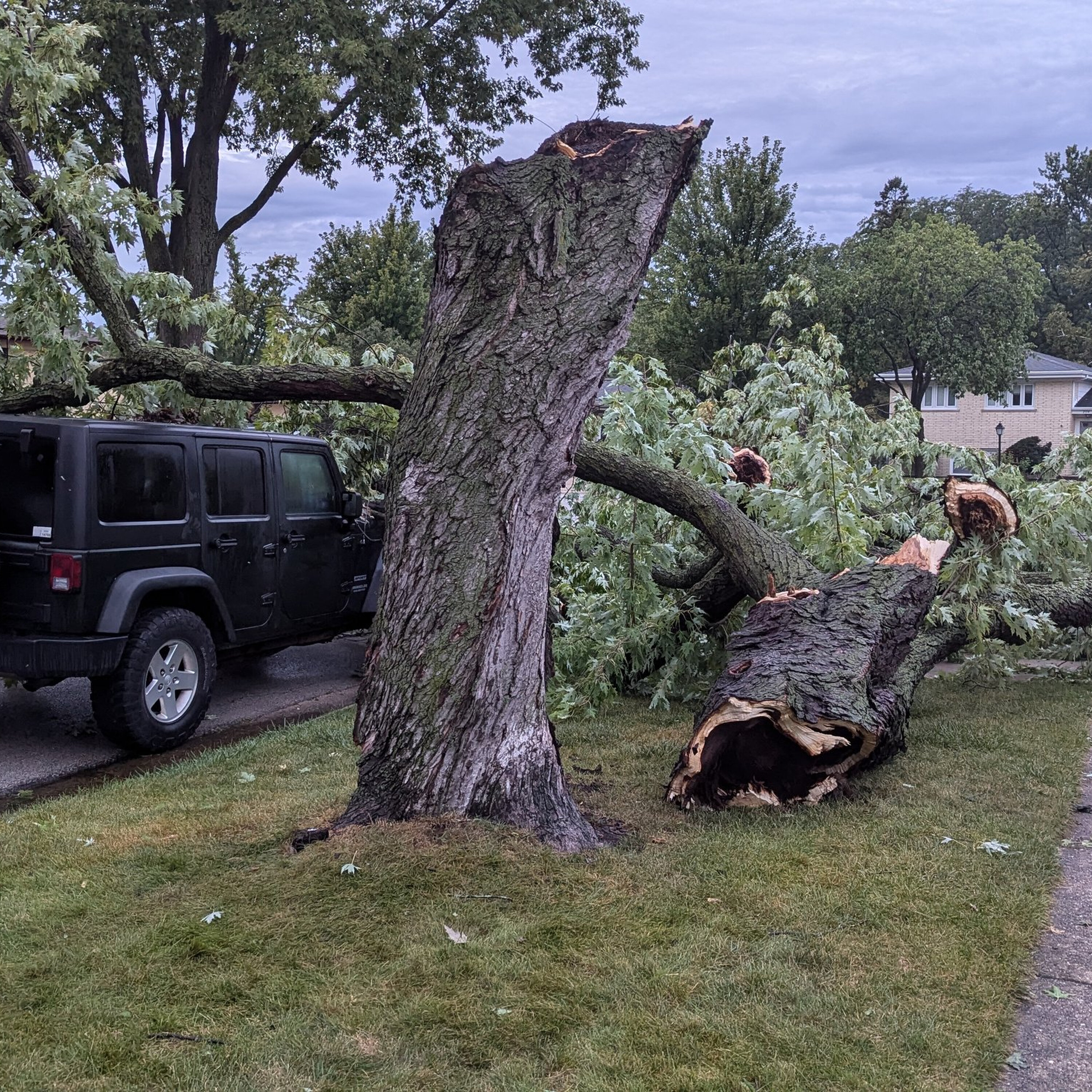 Strong storms wreak havoc in Des Plaines