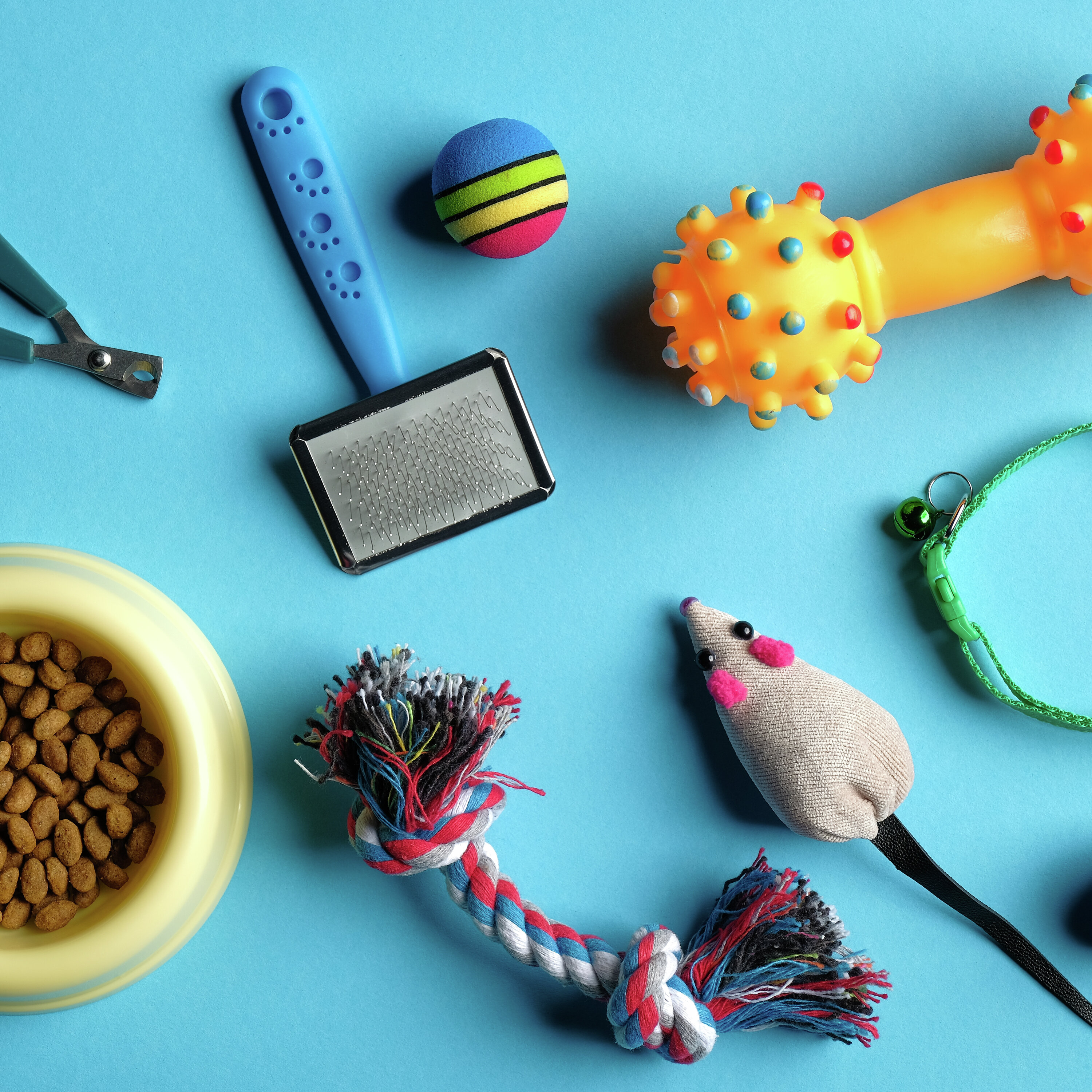 Noon Business Hour: Pet Spending - Restaurants & Travel Smart Phones