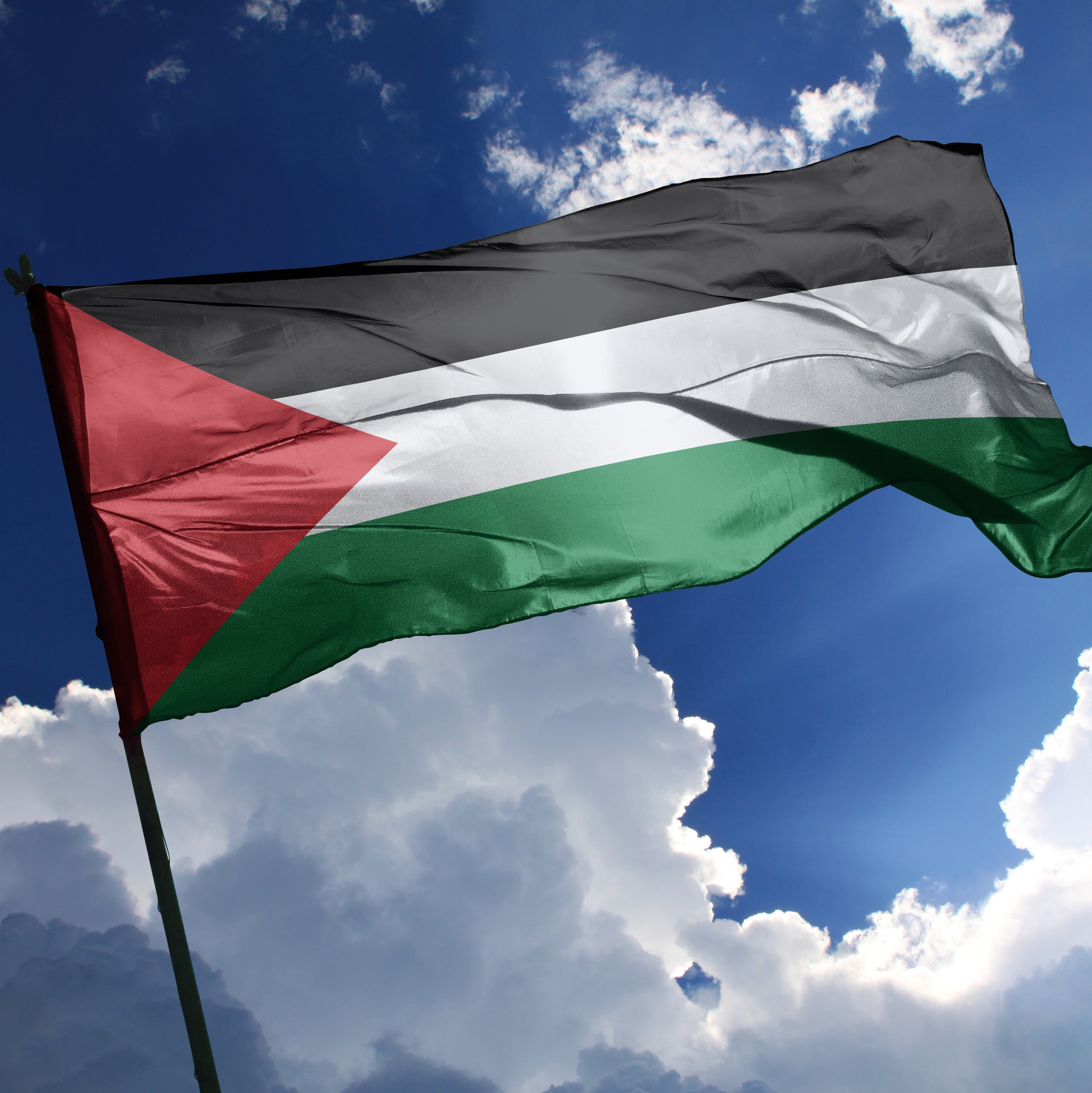 Northwestern prof claims school canceled his classes due to his pro-Palestinian support