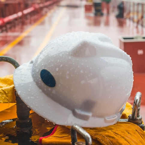 Noon Business Hour: Port Strike - Iran & Pet Travel
