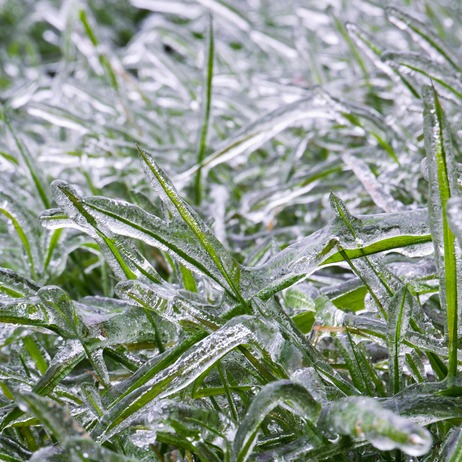 First freeze coming to Chicago area tonight