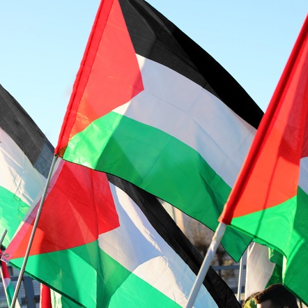 Pro-Palestinian protestors shut down Sean Casten town hall
