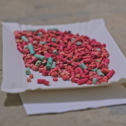 Alderwoman warns rat poison found in several areas of Rogers Park