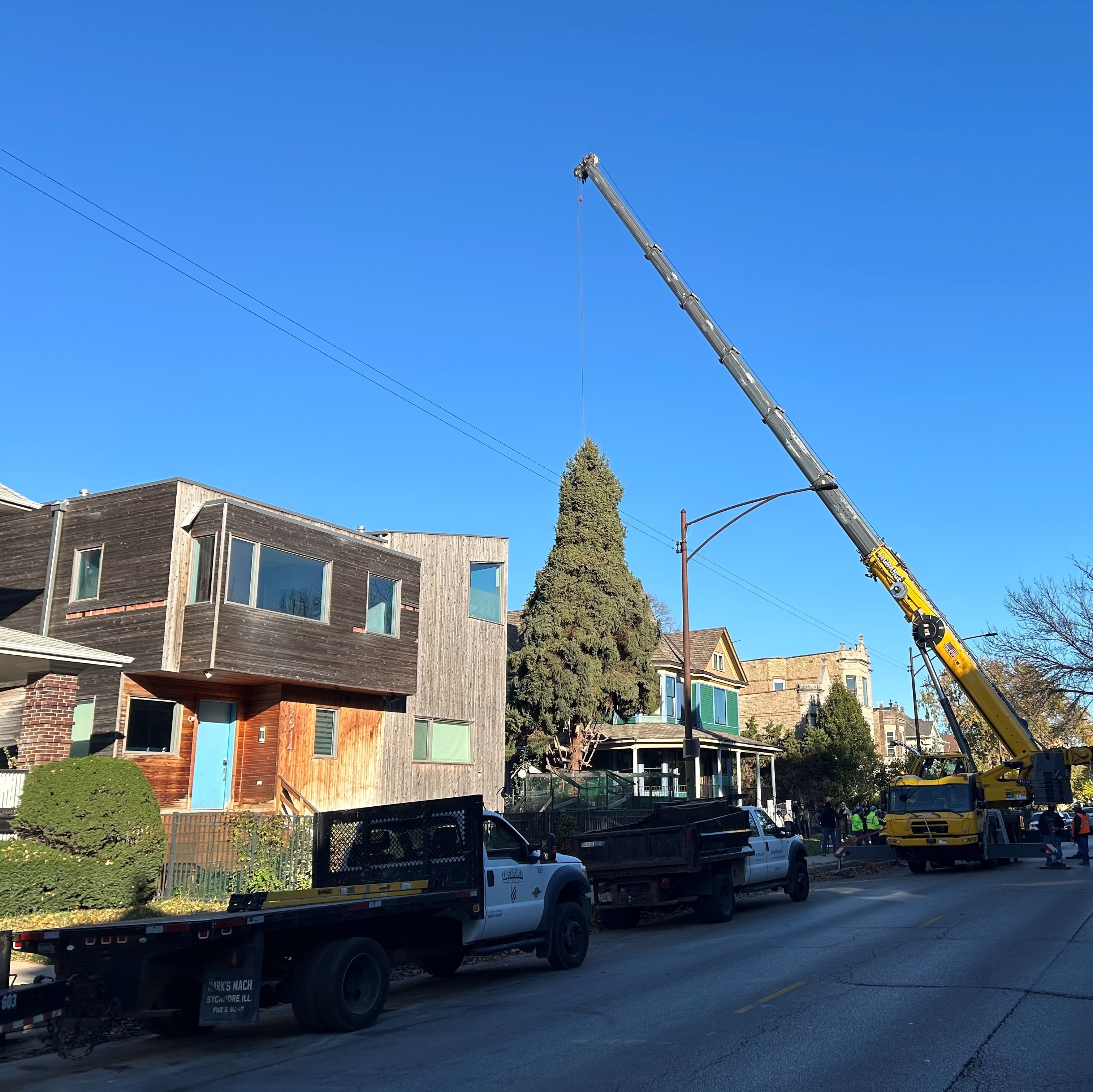 City of Chicago chooses Christmas Tree