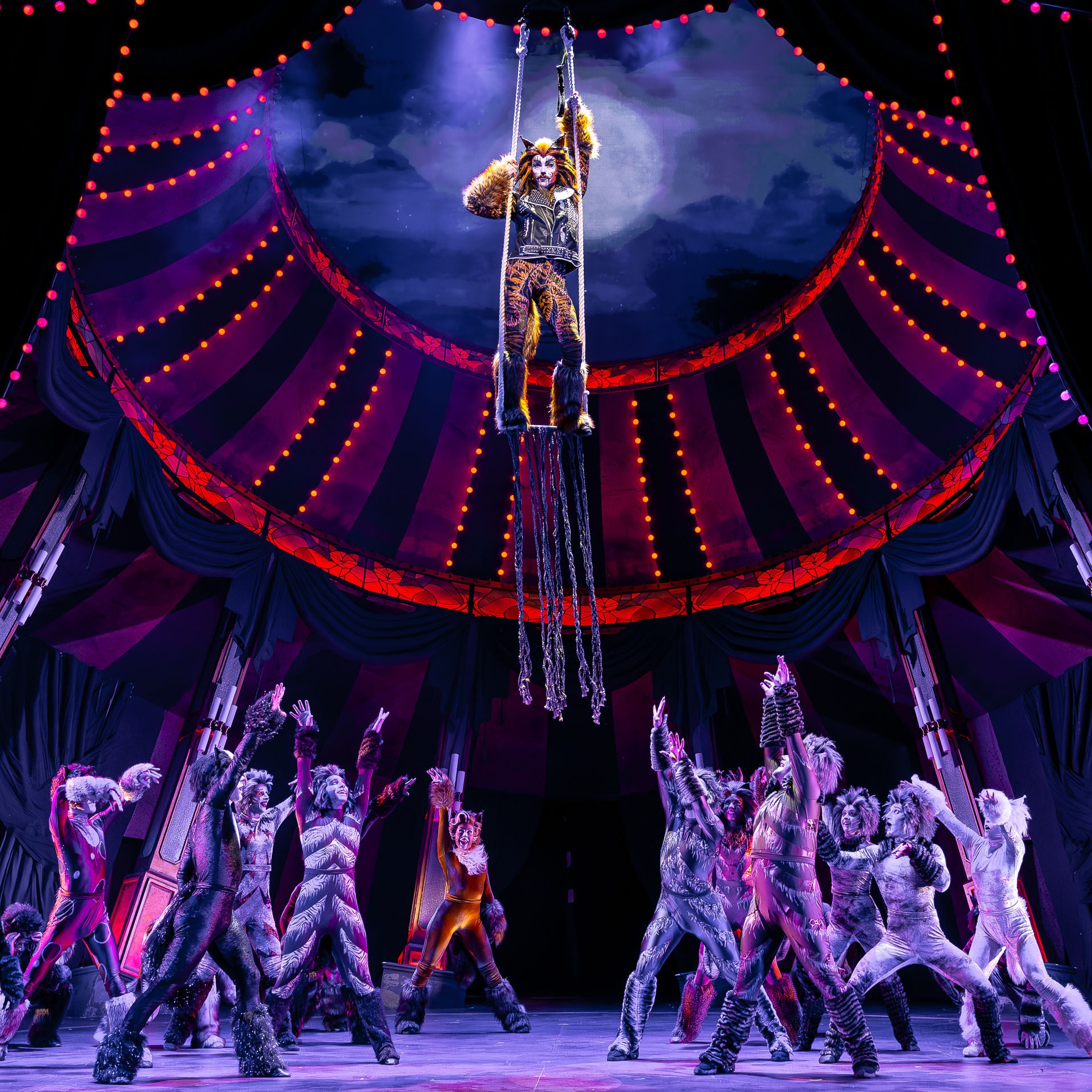 Paramount Theatre's circus-inspired 'Cats' goes viral on social media