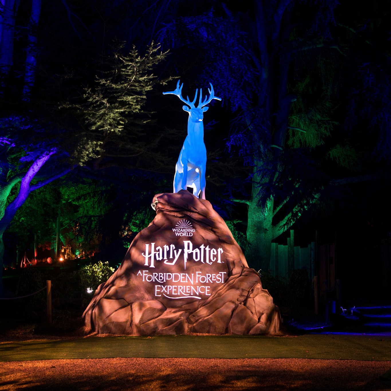 Harry Potter "Forbidden Forest" experience to open in Chicago suburbs this fall