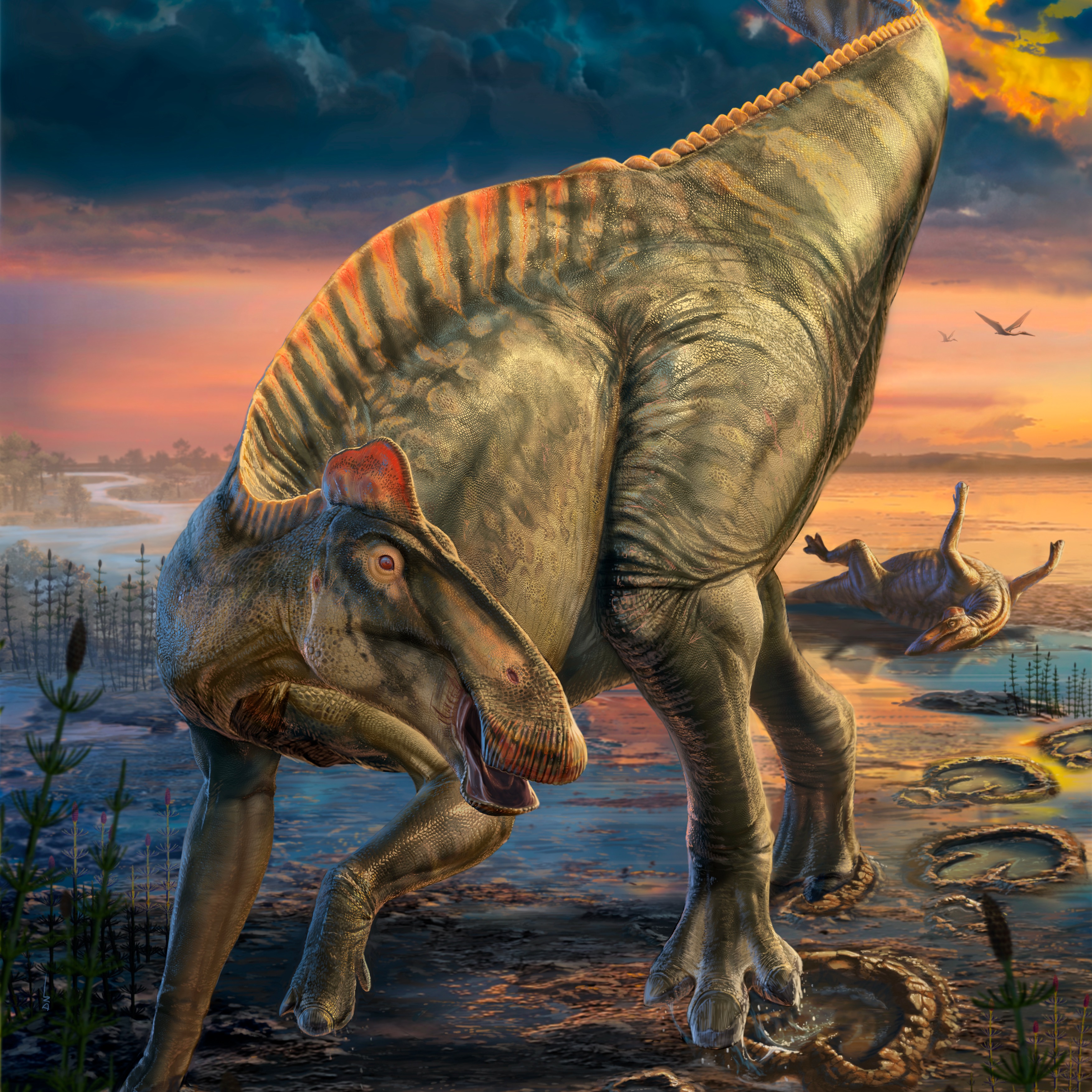 Dino "mummies” reveal new detail about long-extinct creatures