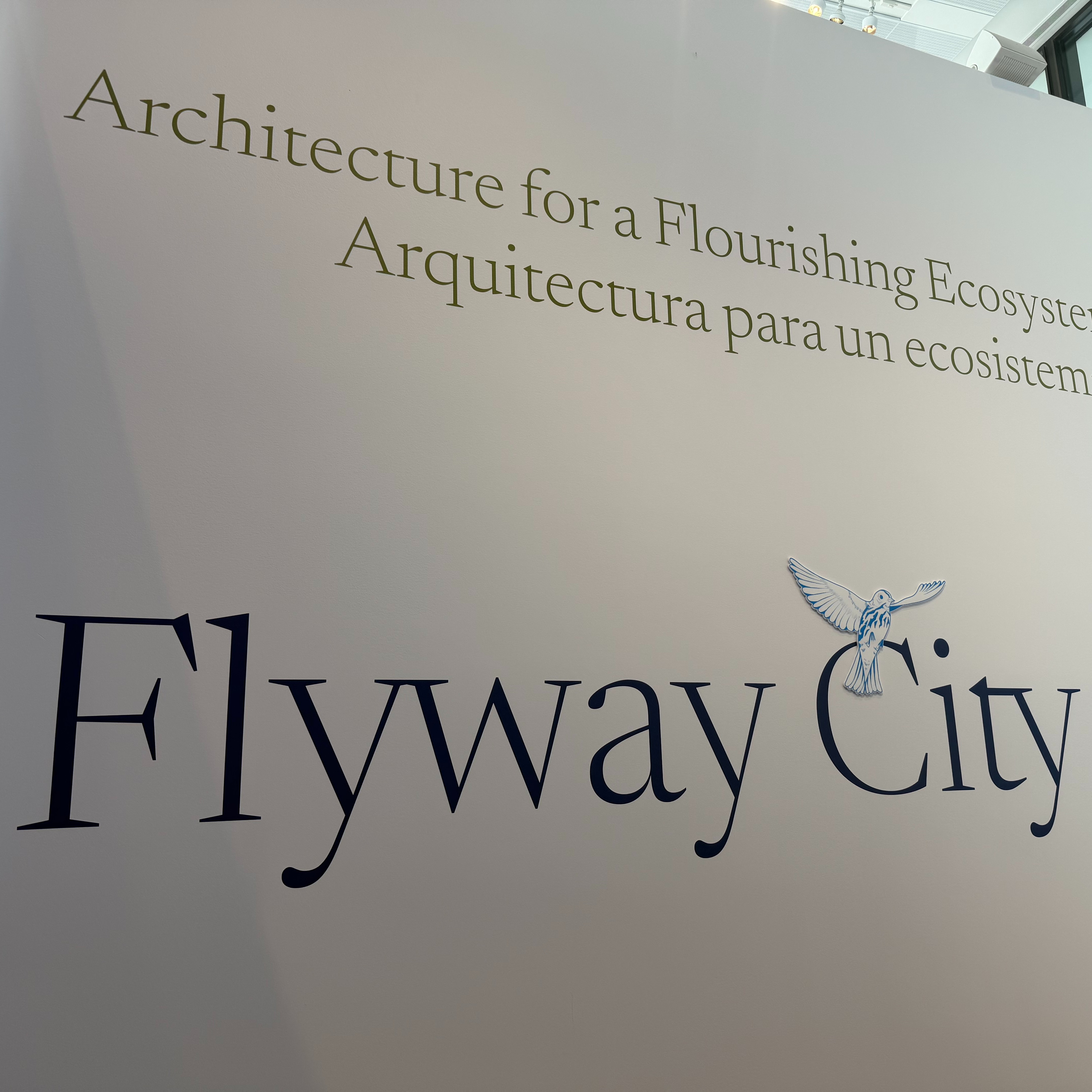 Aqua Tower, St. Regis architect Jeanne Gang co-curates Chicago Architecture Center exhibit about bird collisions episode artwork