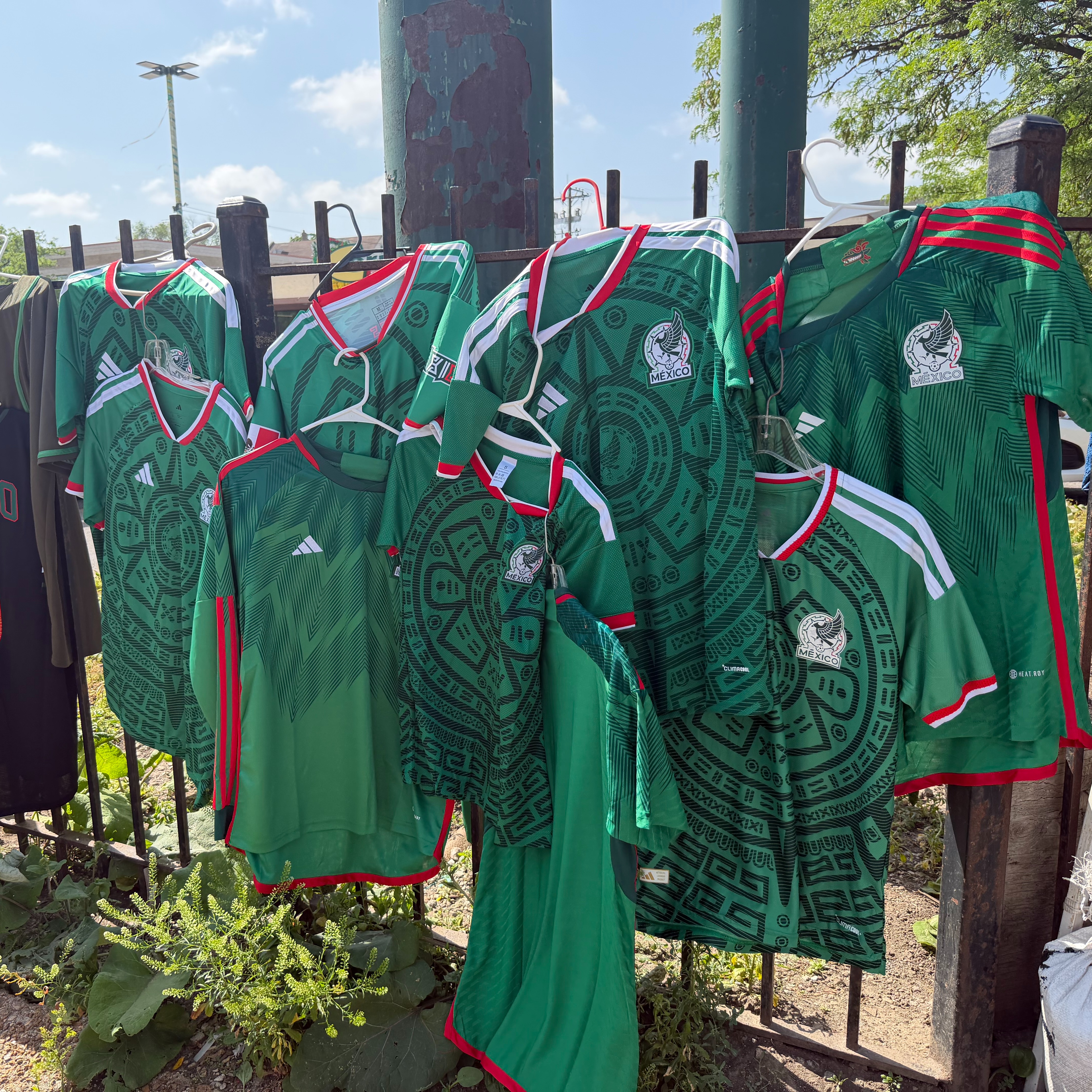 Soccer fans in Little Village gear up for Mexico World Cup match against Ecuador episode artwork