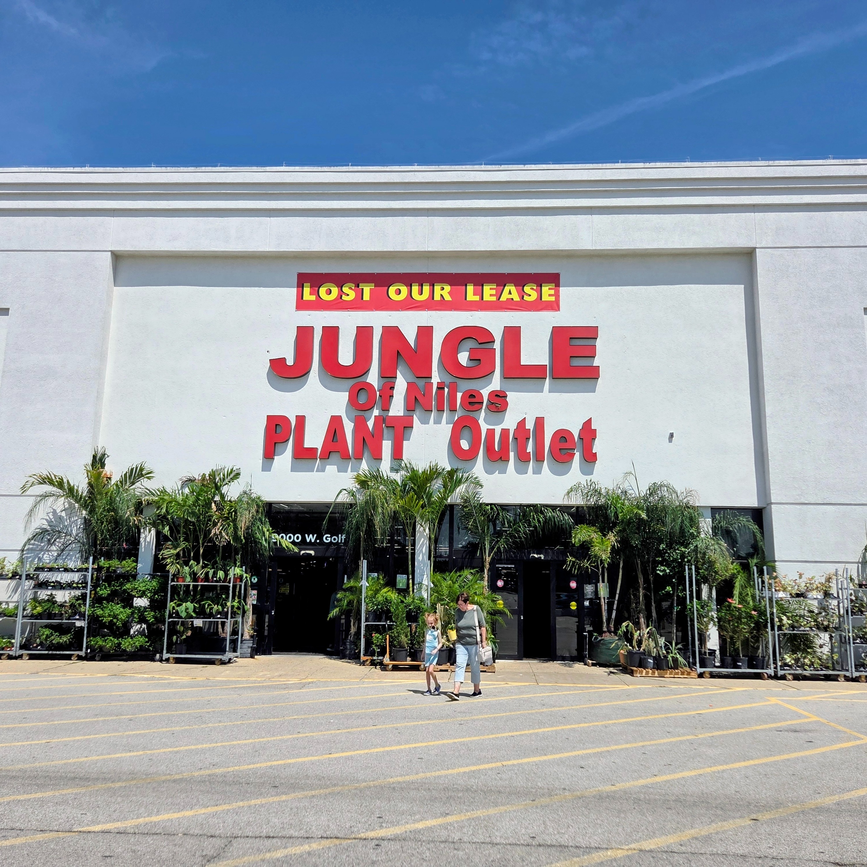 Suburban jungle must move episode artwork