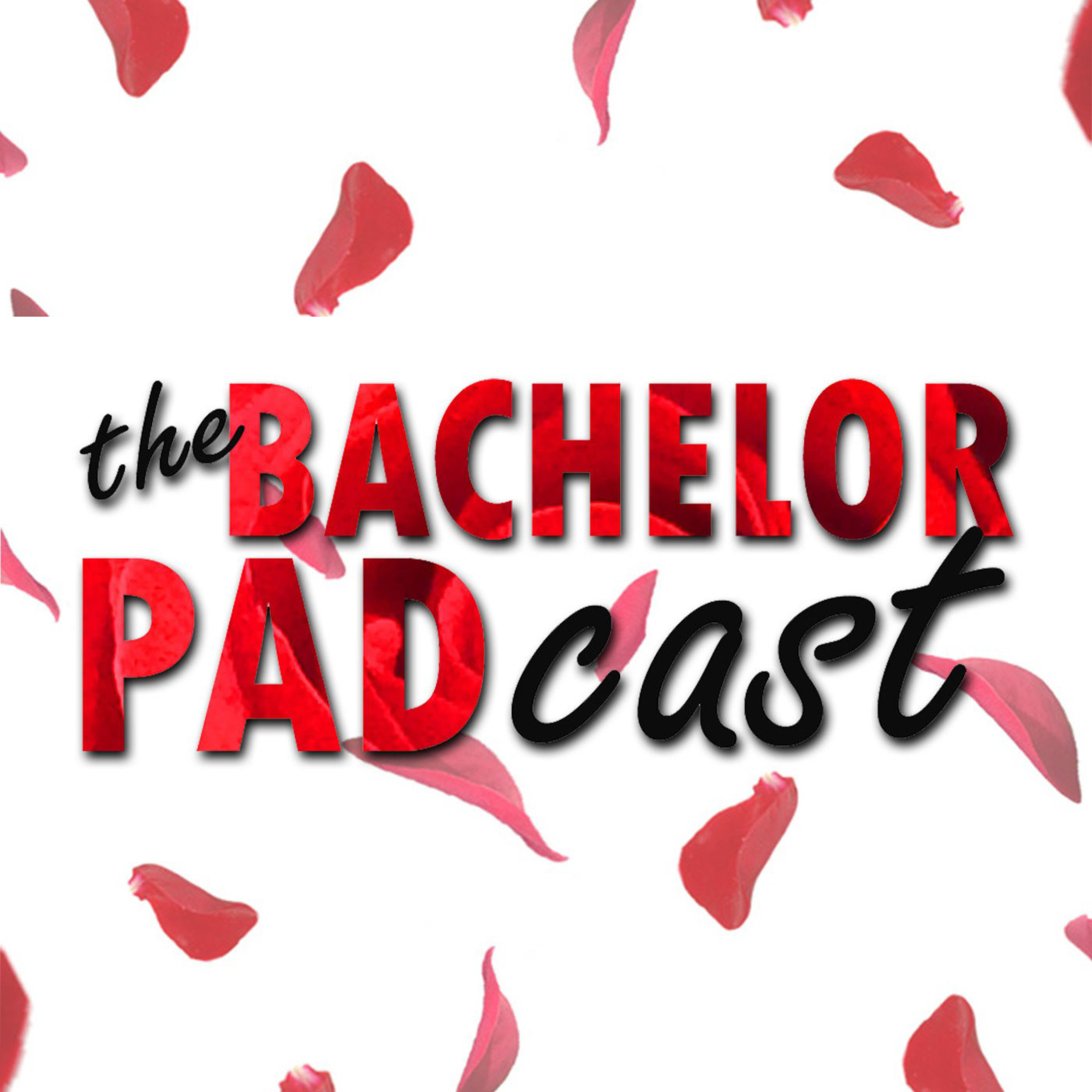 The Bachelorette - Michelle's Homecoming episode artwork