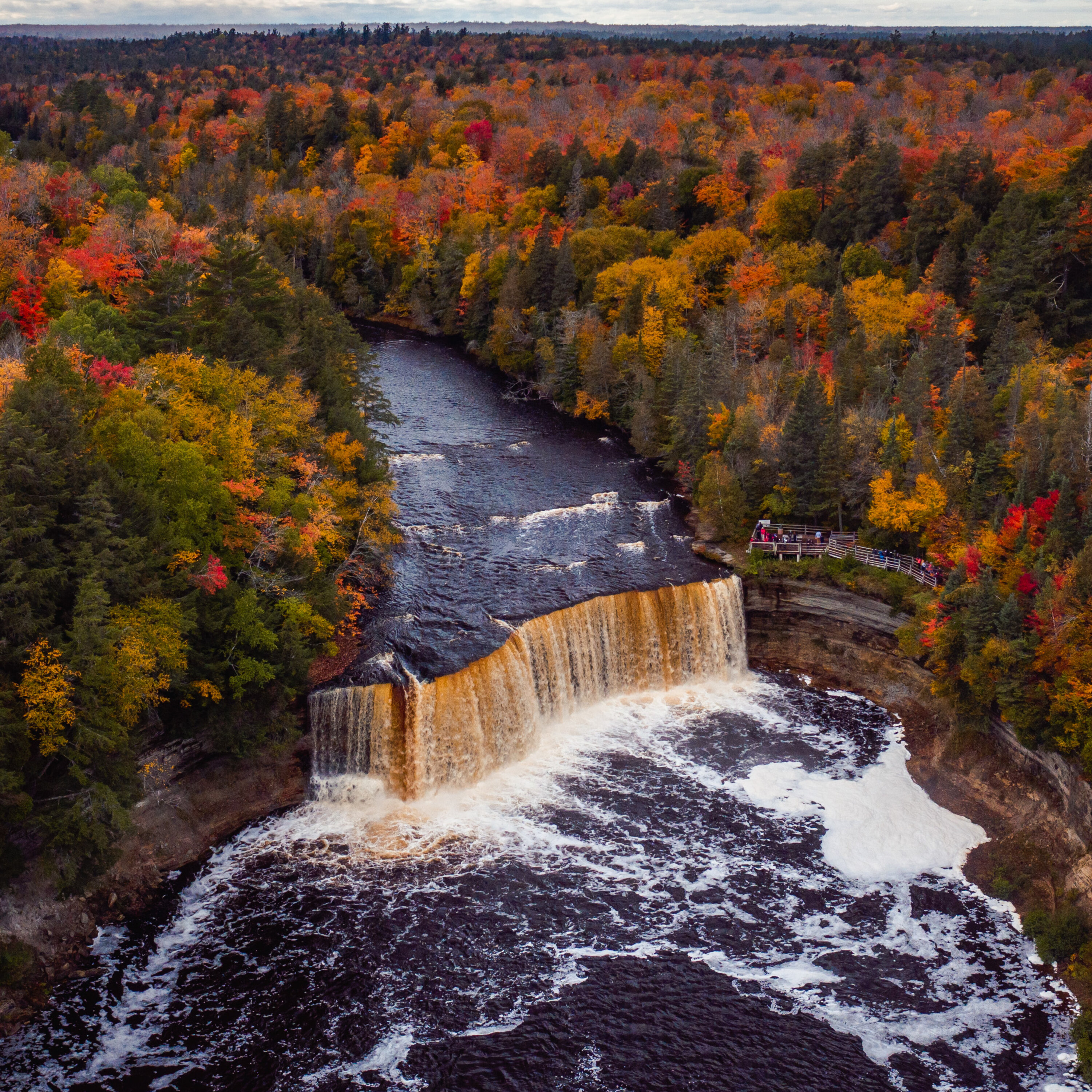 Experts say climate change is happening right here in Metro Detroit. So what should we be doing to preserve our planet?