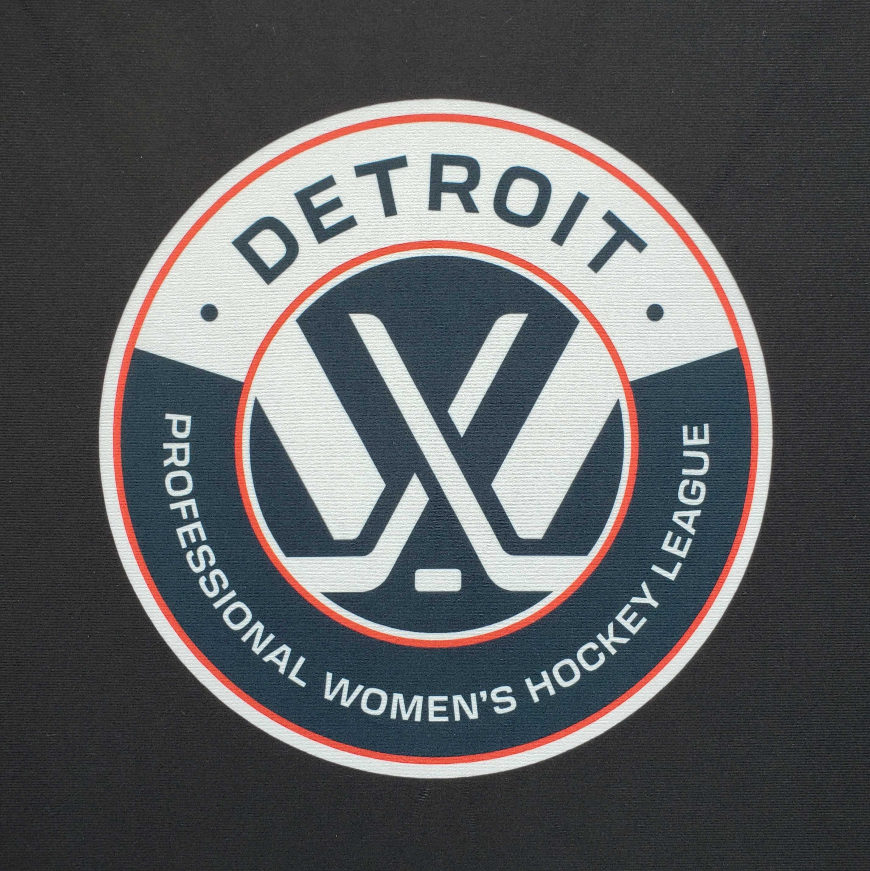 Detroit is getting a new professional sports team episode artwork