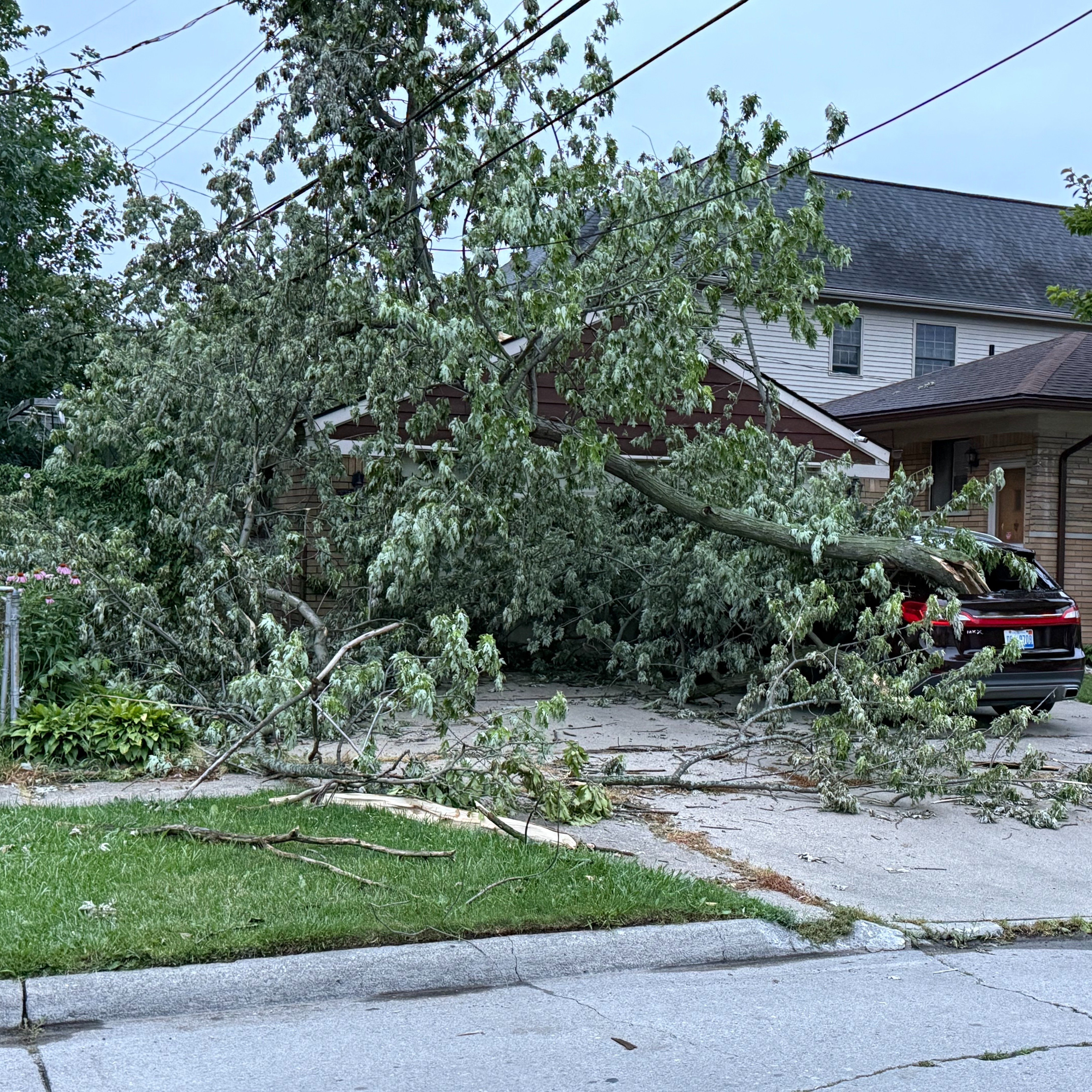 Thousands of Metro Detroiters have no power following Friday storms episode artwork