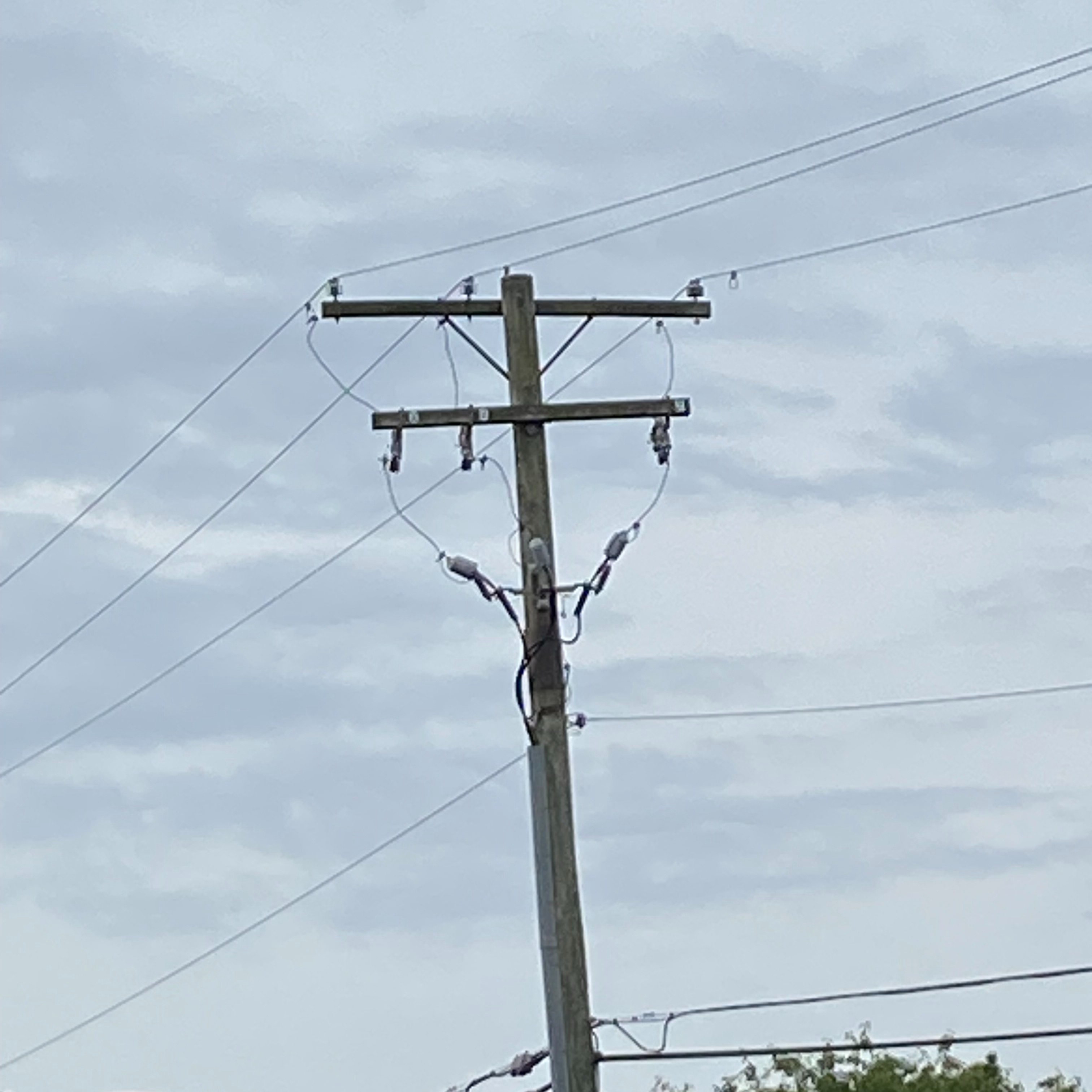 Ann Arbor residents to vote in November on new municipal electric utility episode artwork