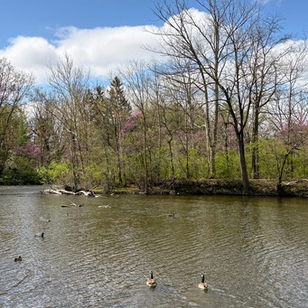 City of Pontiac readies for public input on Parks and Recreation masterplan episode artwork