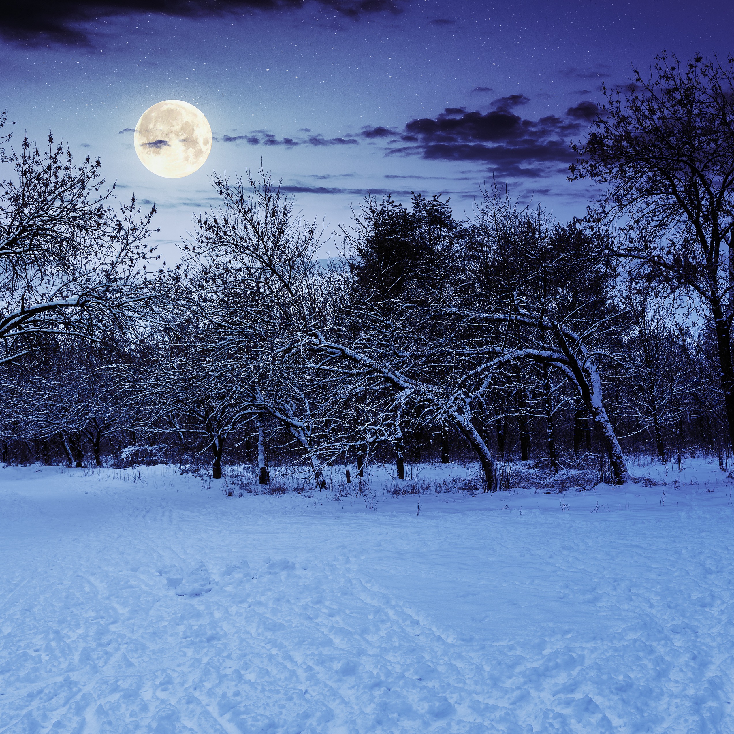Erebus hosting 'Nightmare AFTER Christmas' for limited time episode artwork