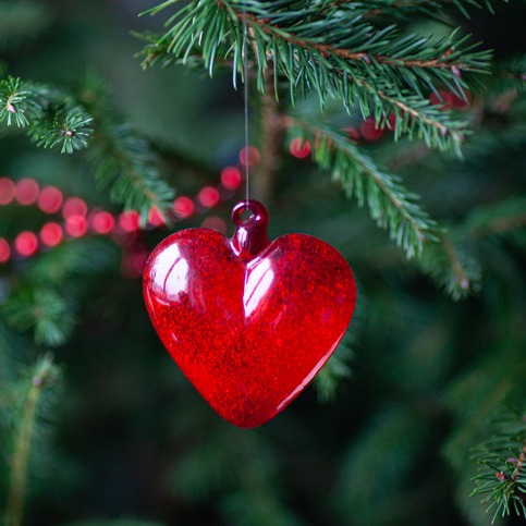 Washtenaw County launches holiday mental health campaign episode artwork