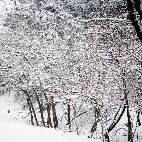 26 inches of snow and higher drifts in Michigan's Upper Peninsula episode artwork