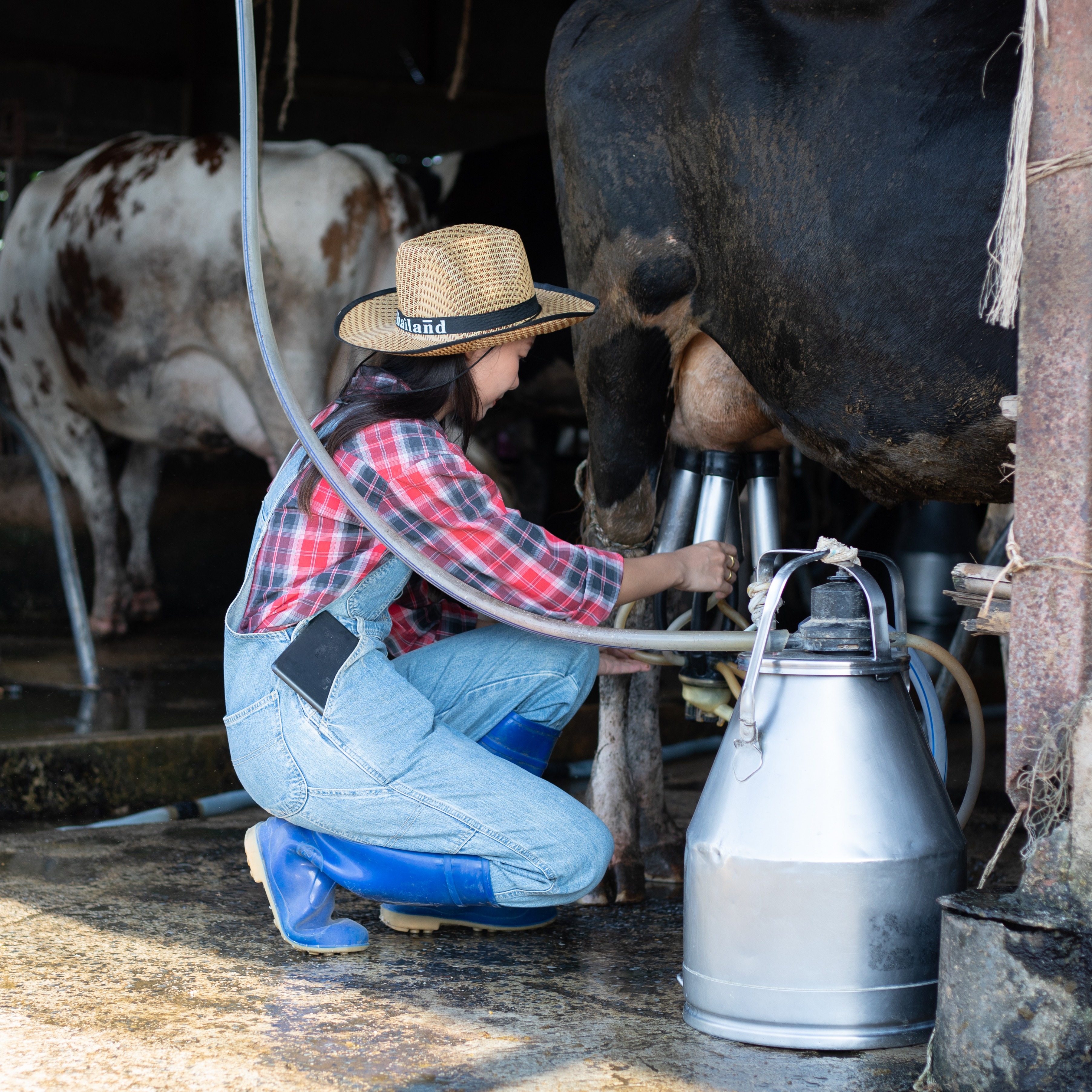 Experts share dangers of raw milk in light of proposed Michigan legislation episode artwork