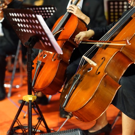 Northern Michigan teens set to perform with Detroit Symphony Orchestra episode artwork