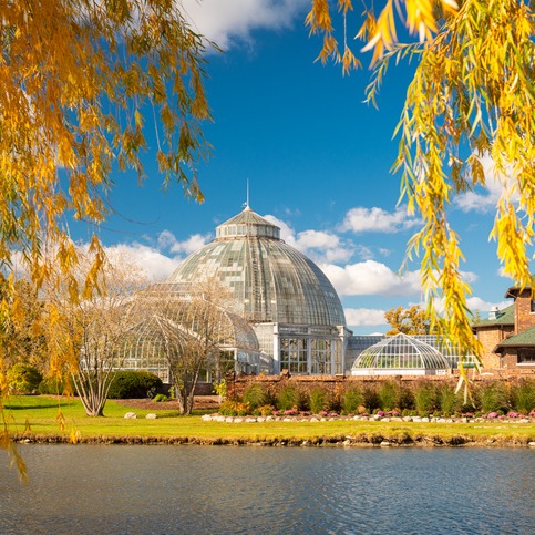 313 Day celebration on Belle Isle episode artwork