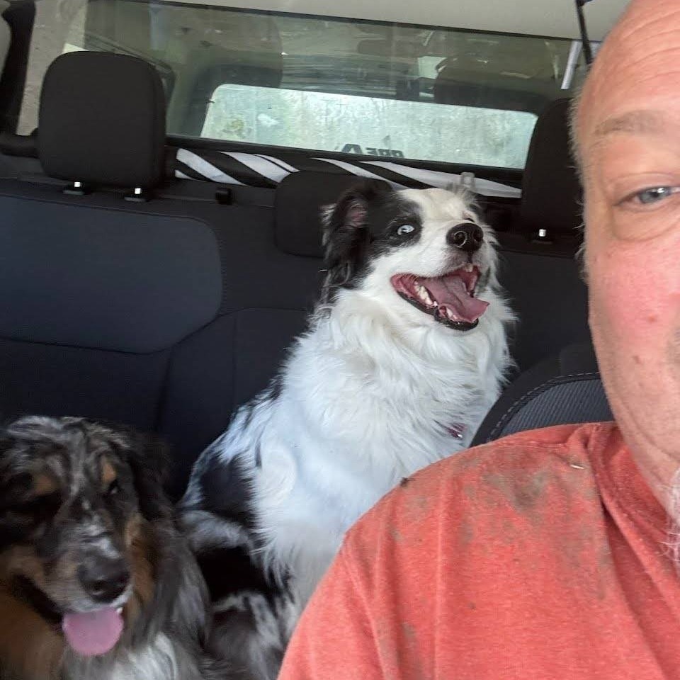 Livonia dog reunited with family after being shot by delivery driver episode artwork