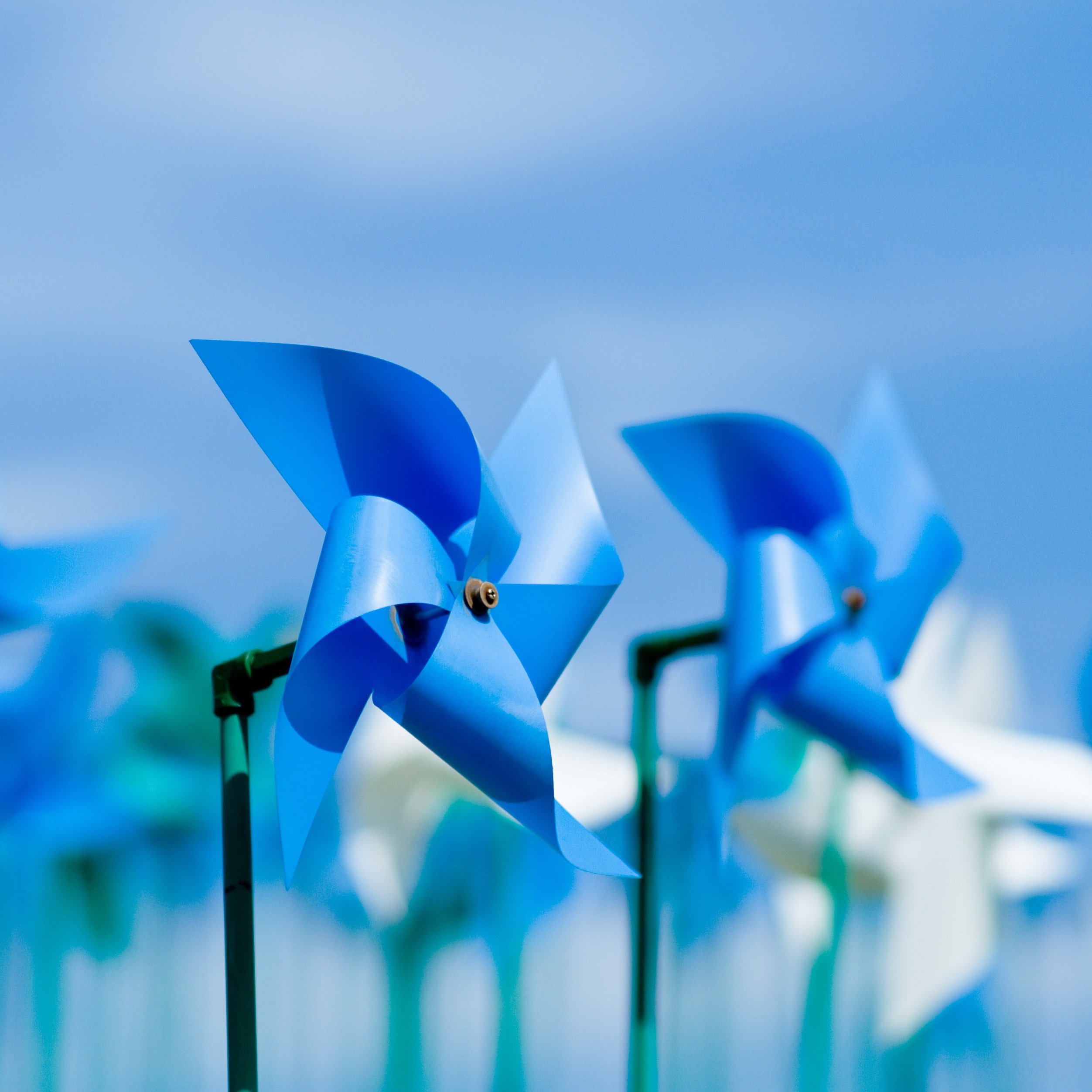 Pinwheel gardens spring up in Wayne County for Child Abuse Prevention Month episode artwork
