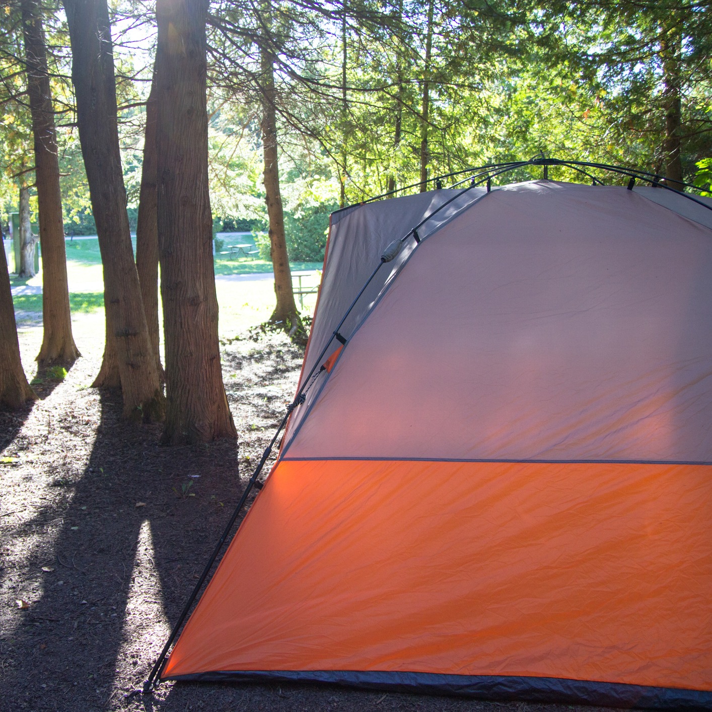 Many Michigan campgrounds and trails are flooded episode artwork