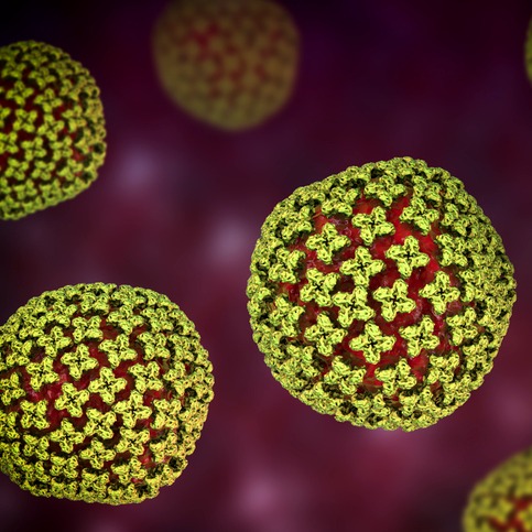 How much should Michiganders be worried about hantavirus? episode artwork