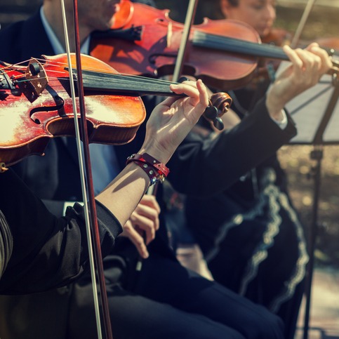 DSO announces summer season, featuring special outdoor performances episode artwork