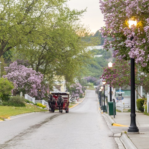 "Stop and Smell the Lilacs" with the Mackinac Island Lilac Festival episode artwork