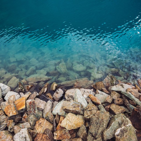 DO NOT SWIM in the Lake of Monroe, authorities warn episode artwork