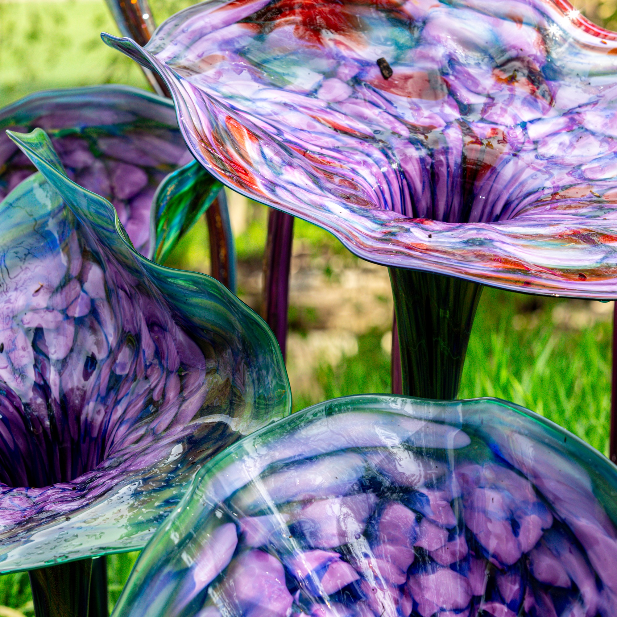 Chihuly at Meijer Gardens, a blown glass exhibit,  running now episode artwork