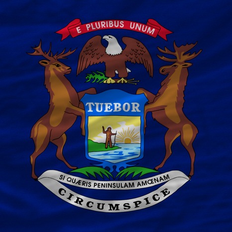 Does Michigan's constitution need a rewrite? Voters will decide episode artwork