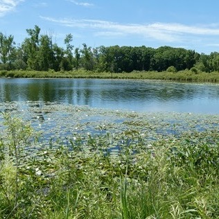 The DNR holding annual land auctions in August episode artwork