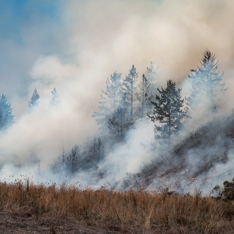 Doctor warns of negative effects wildfire smoke can have on our health episode artwork