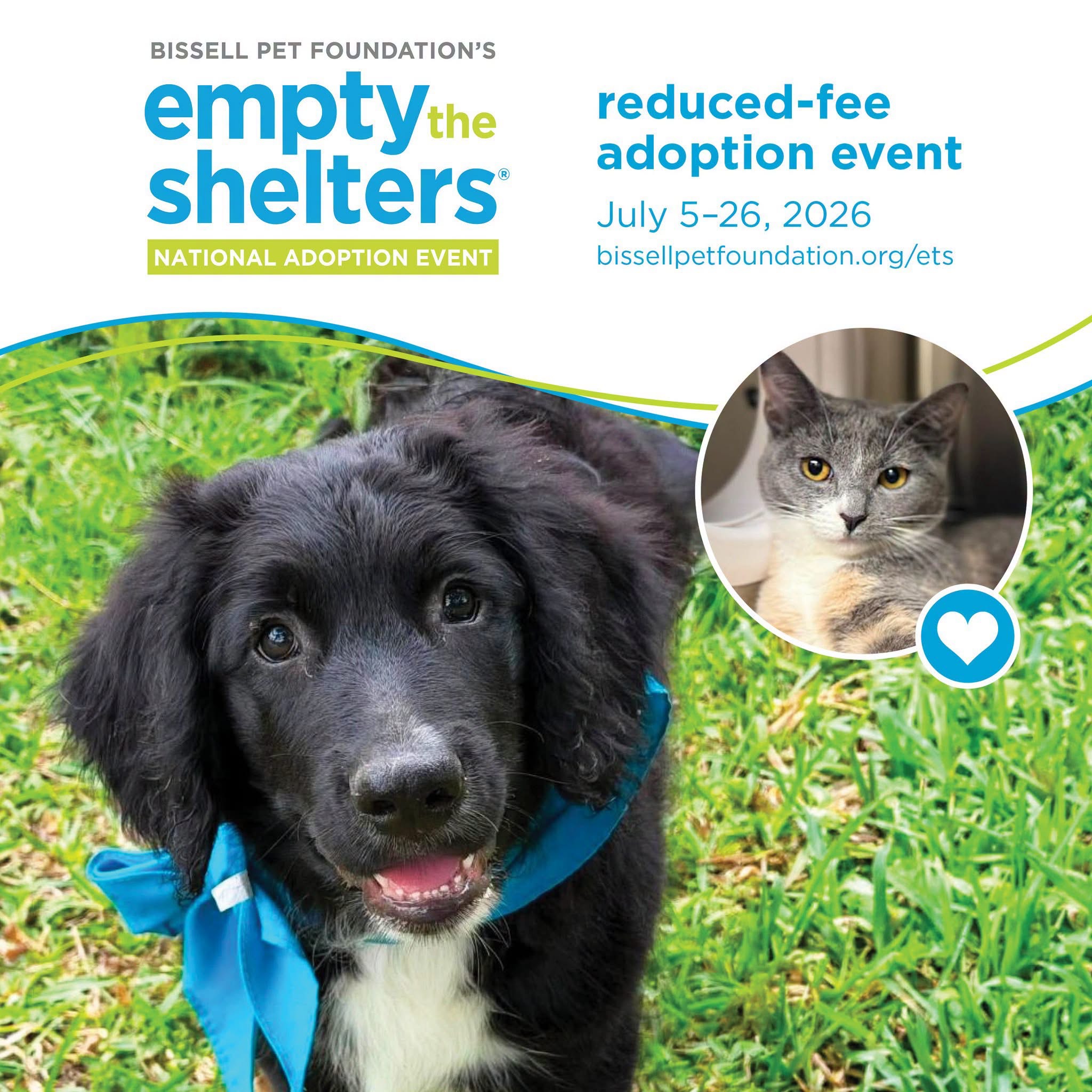 Want a pet?  Empty the Shelters pet adoption event underway episode artwork