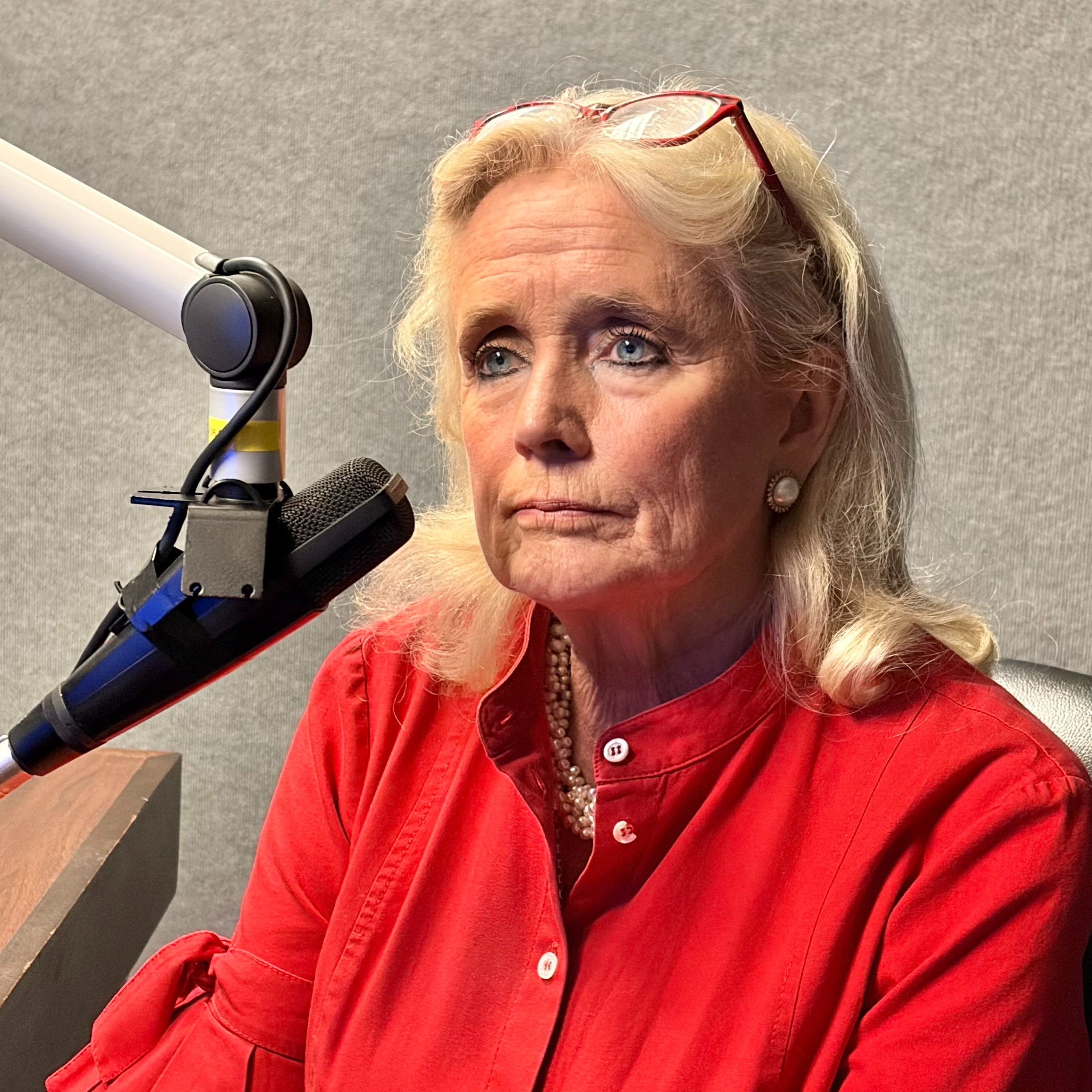 What are the top issues on Michigan voters' minds ahead of November? episode artwork