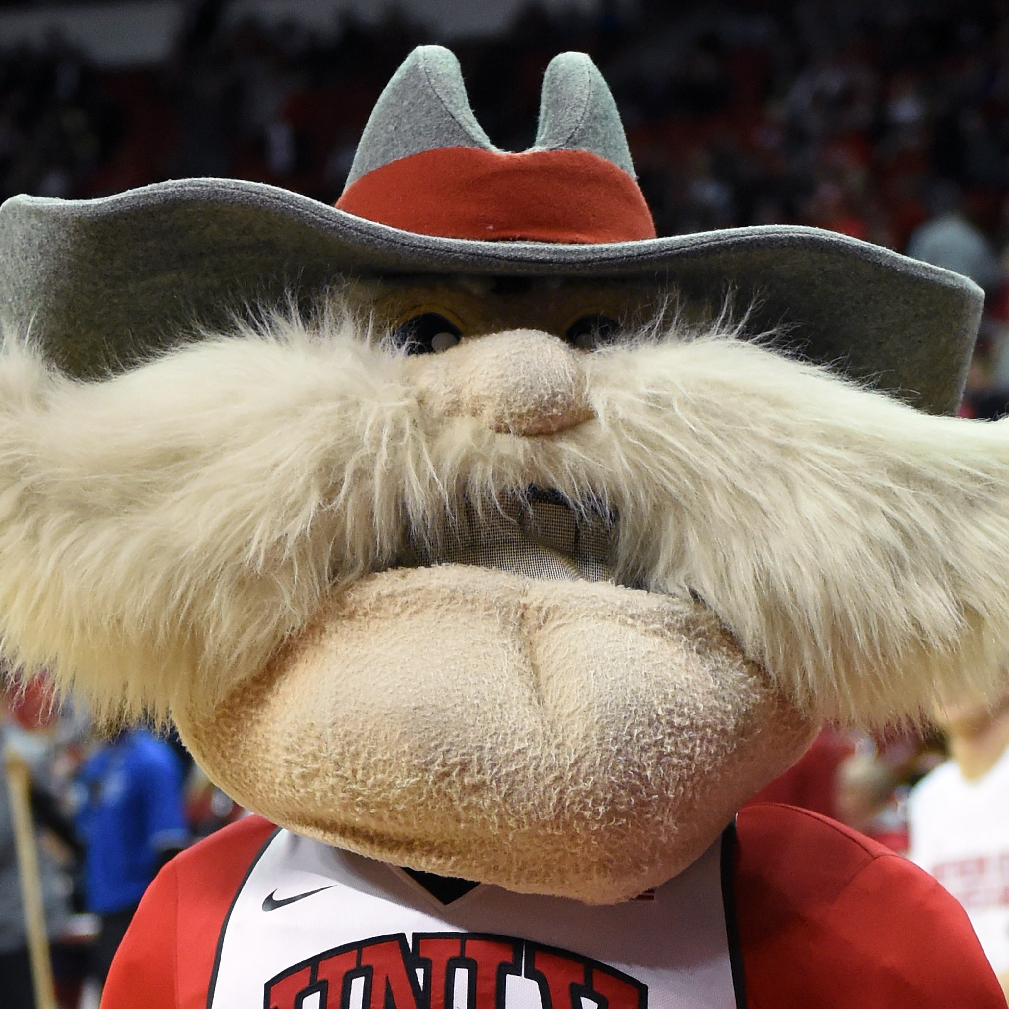 Should UNLV get a new mascot or should they bring back Hey Reb!? episode artwork