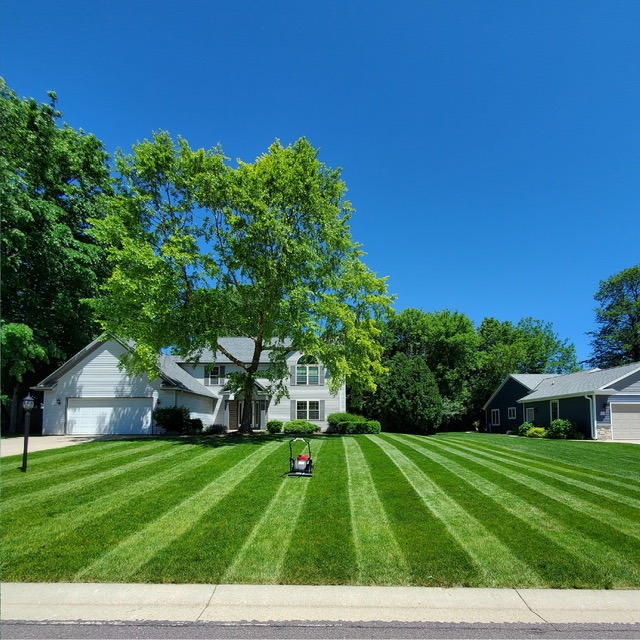 Who's winning your "lawn war?"