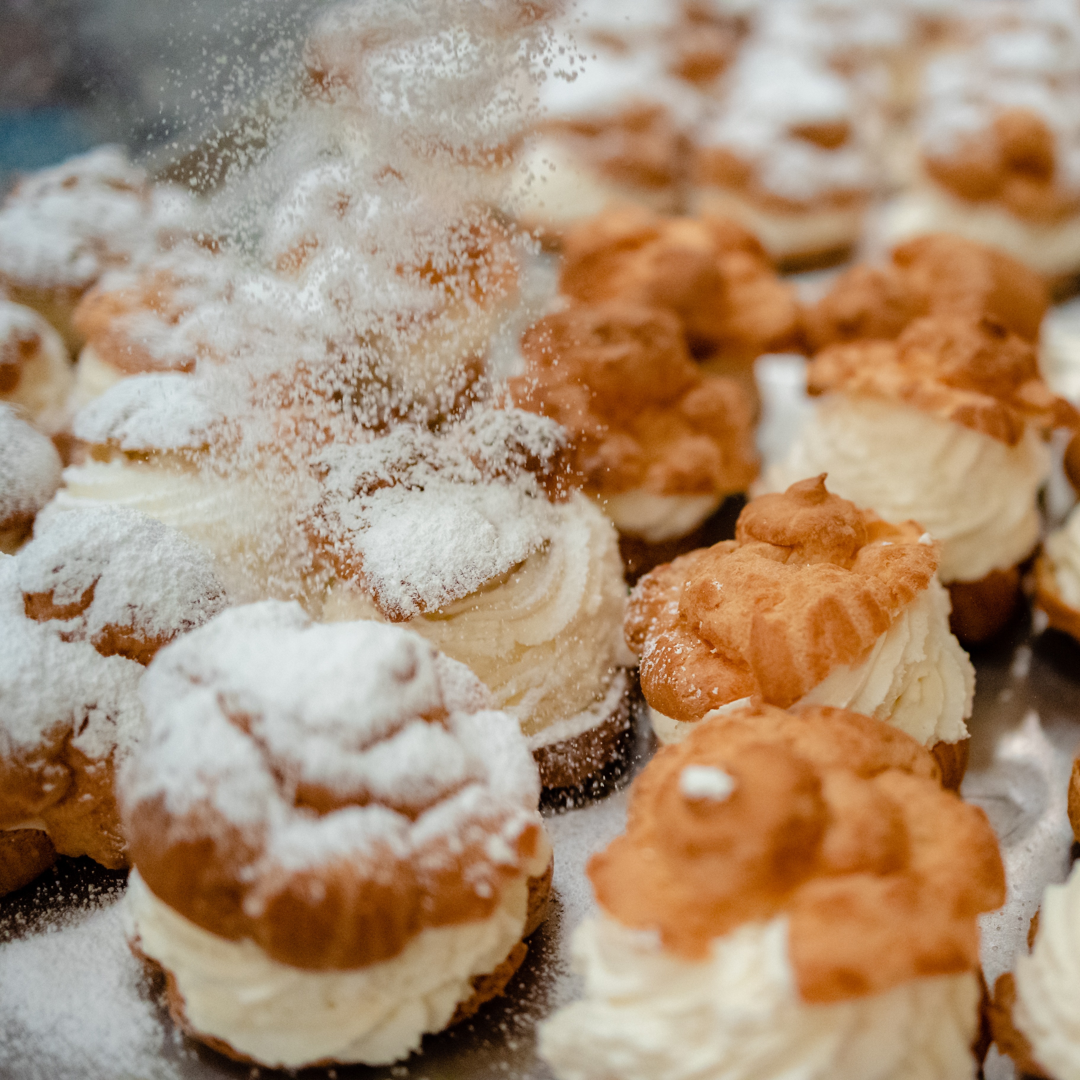 Curdtoberfest + Harvest Fair = a fun time for you!!