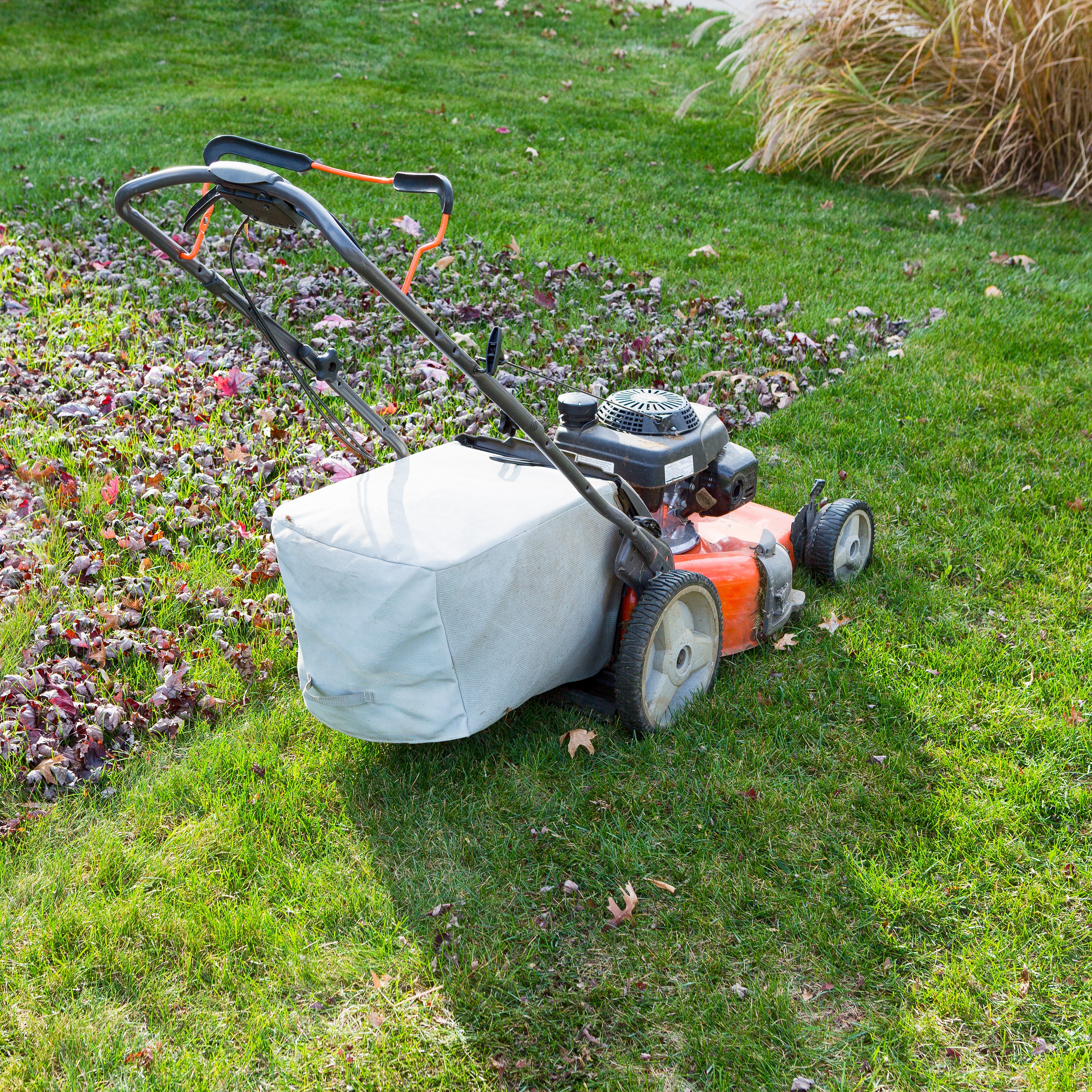 Getting Ready to Dormant Seed, Guarding Your Trees, Mowing The Lawn for the Final Time of the Year