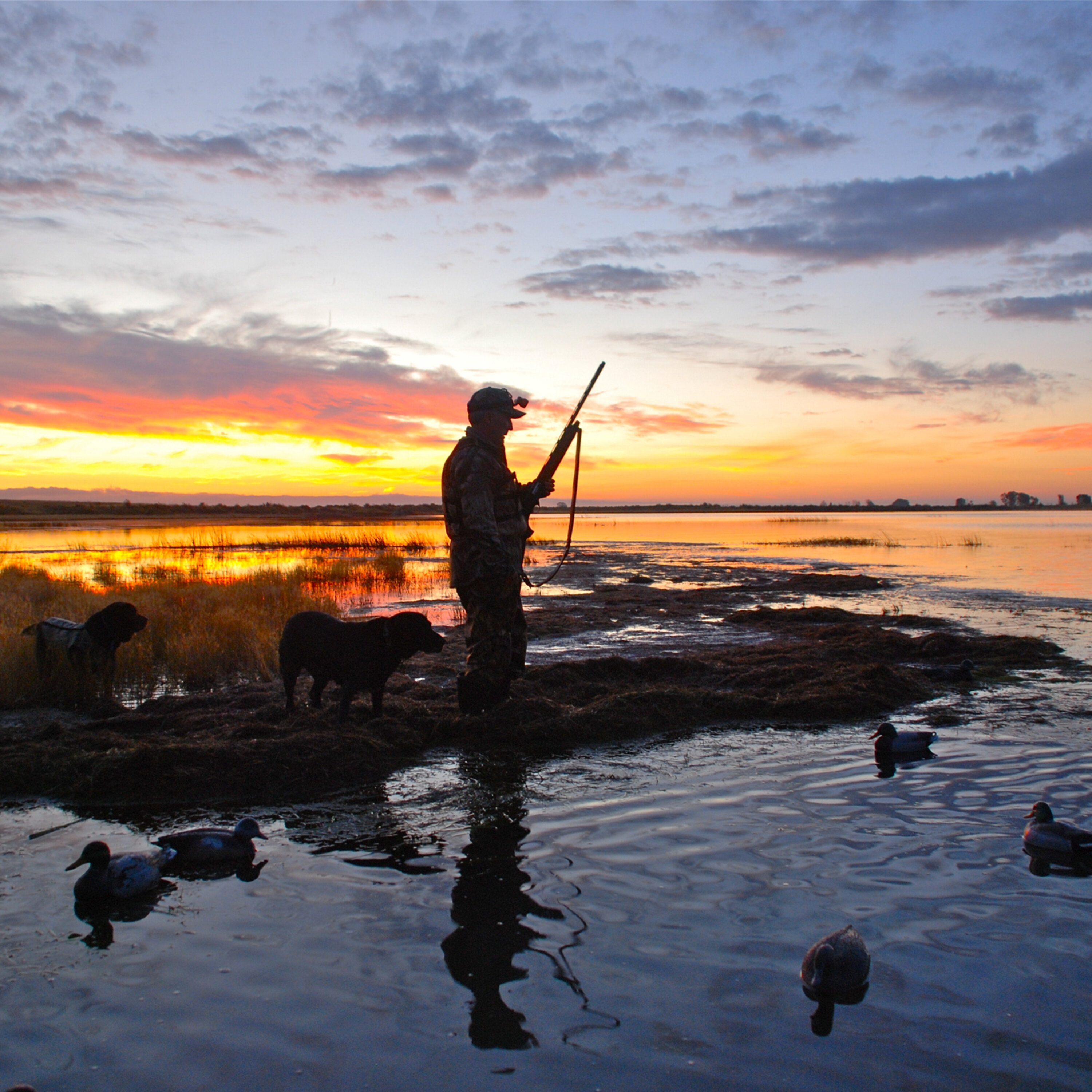 Early Duck Hunting Season; Venison Hunting and Recipes; DNR K9 Program episode artwork