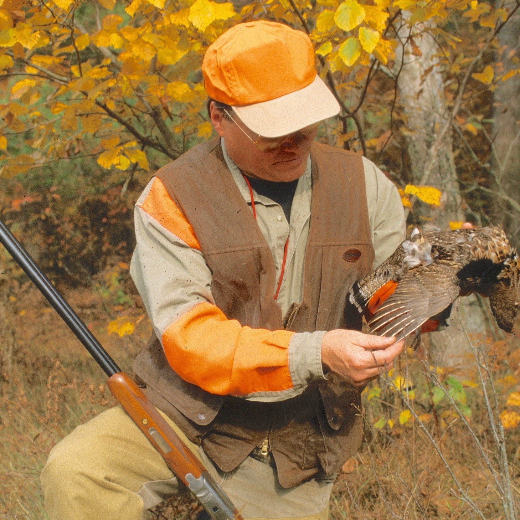 Talking Summer Fishing and Ruffed Grouse episode artwork